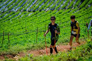 BIB: 
                            <button type="button" onclick="openModal(19164469)" class="btn btn-primary btn-sm float-right btn-popup" data-toggle="modal" data-target=".modal-high-quality">
                        <i class="fas fa-shopping-cart"></i> Add to Cart
                    </button>
                                            <button type="button" onclick="isThisMe(19164469, true)" class="btn btn-success btn-sm float-right btn-popup btn-isme hidden" data-toggle="tooltip" data-placement="bottom" title="นี่คือรูปของคุณใช่ไหม คลิกที่นี่เพื่อเอาเข้าอัลบั้ม">
                        <i class="fas fa-plus"></i> Add to album
                    </button>
                    <button type="button" onclick="isThisMe(19164469, false)" class="btn btn-warning btn-sm float-right btn-popup btn-isnotme hidden">
                        <i class="fas fa-ban"></i> Remove from album
                    </button>